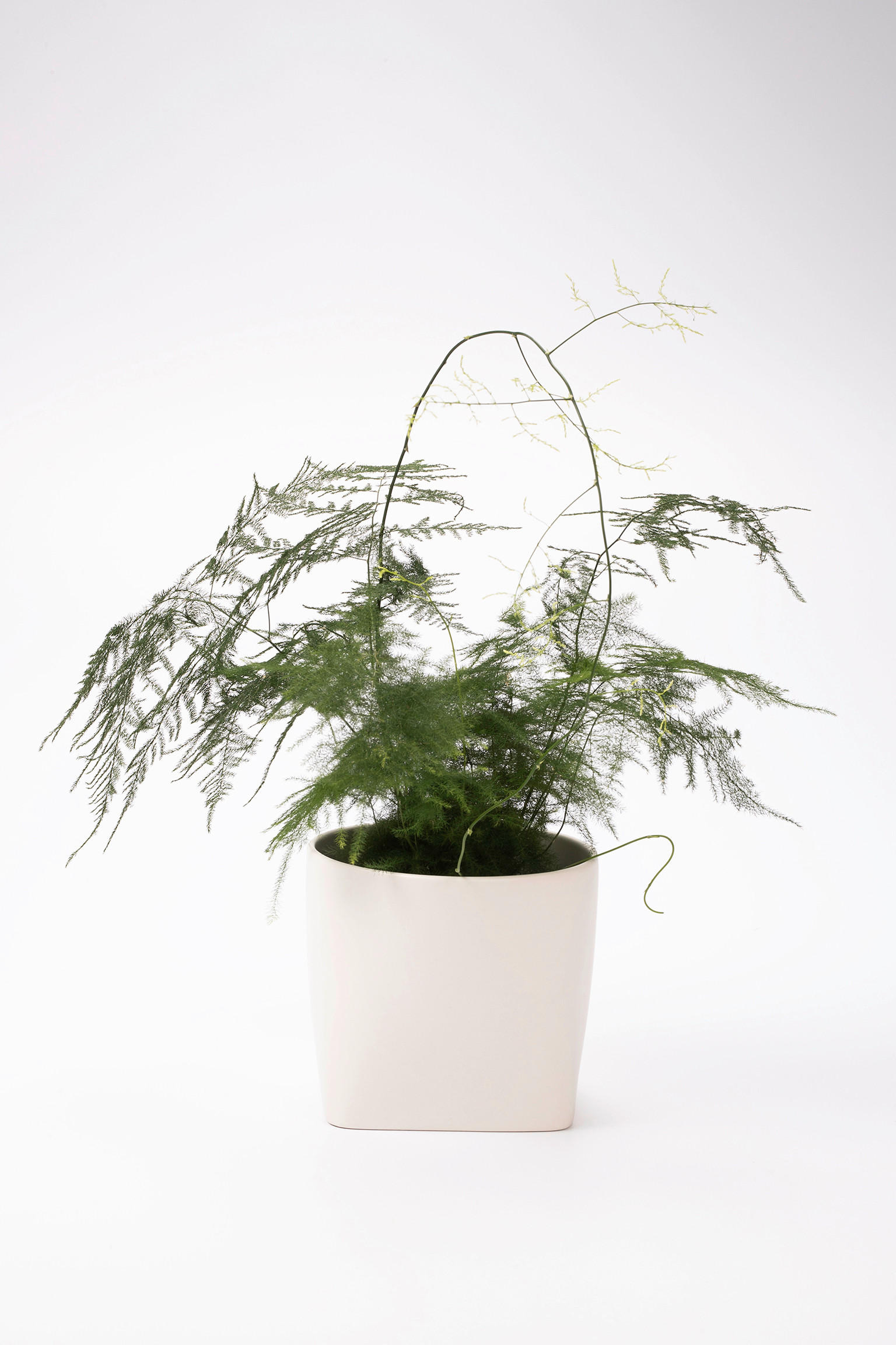 ÜBERTOPF  - Weiß, Basics, Keramik (16/14/14cm) - Markslöjd