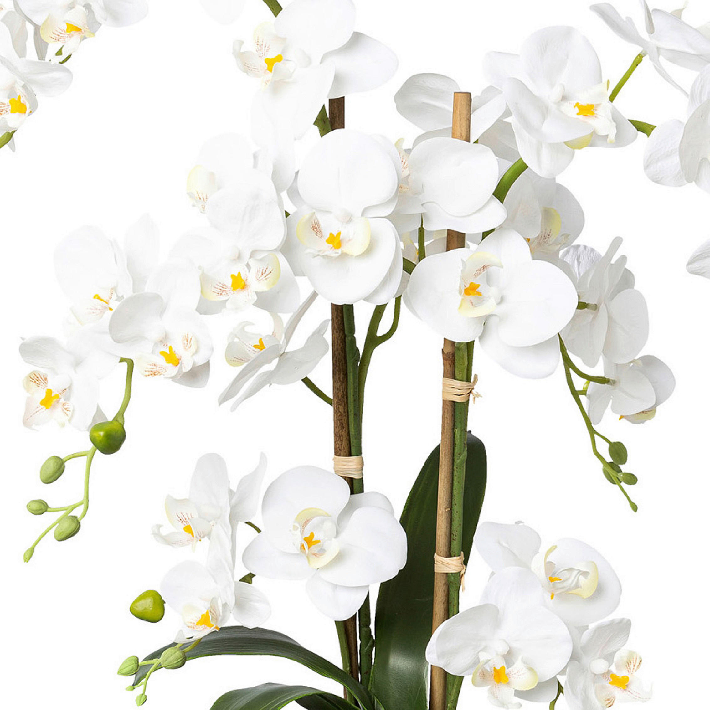 KUNSTPFLANZE Orchidee 67 cm  - Weiß/Grün, Design, Keramik/Kunststoff (67cm) - P & B