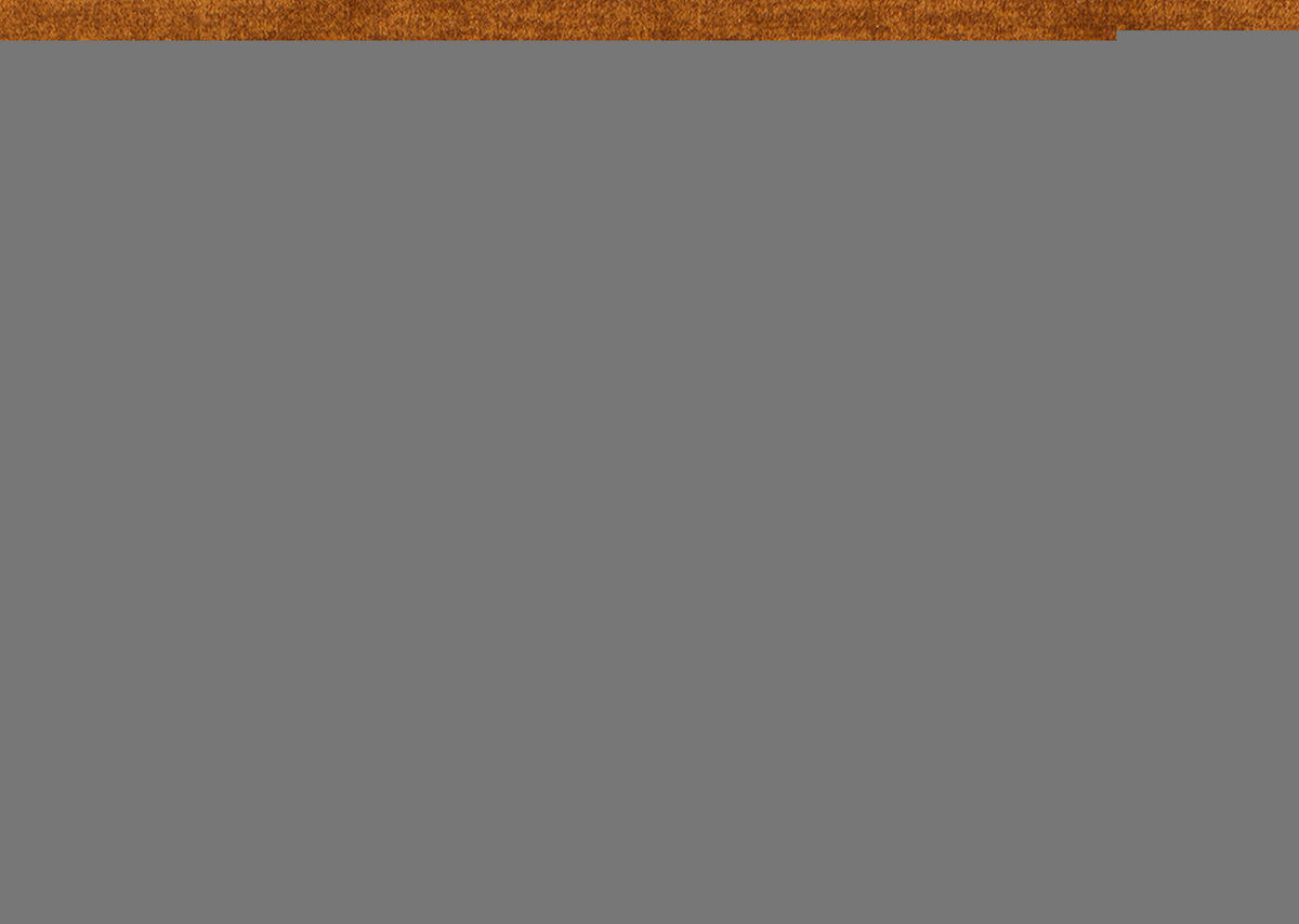 SCHLAFSOFA in Textil Braun, Goldfarben  - Wengefarben/Goldfarben, Konventionell, Holz/Textil (203/94/100cm) - Novel