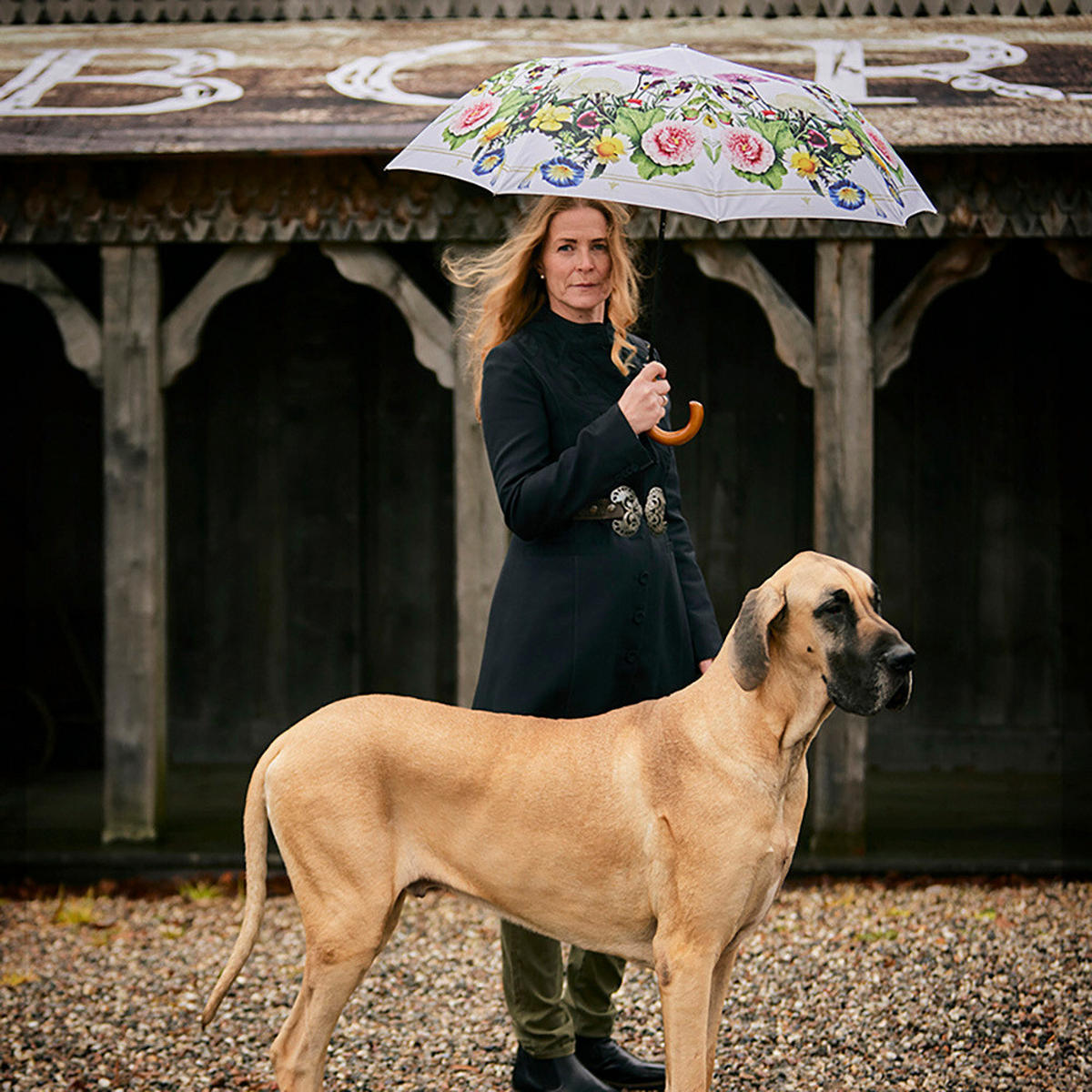 REGENSCHIRM  - Multicolor/Schwarz, Basics, Holz/Textil (115cm)