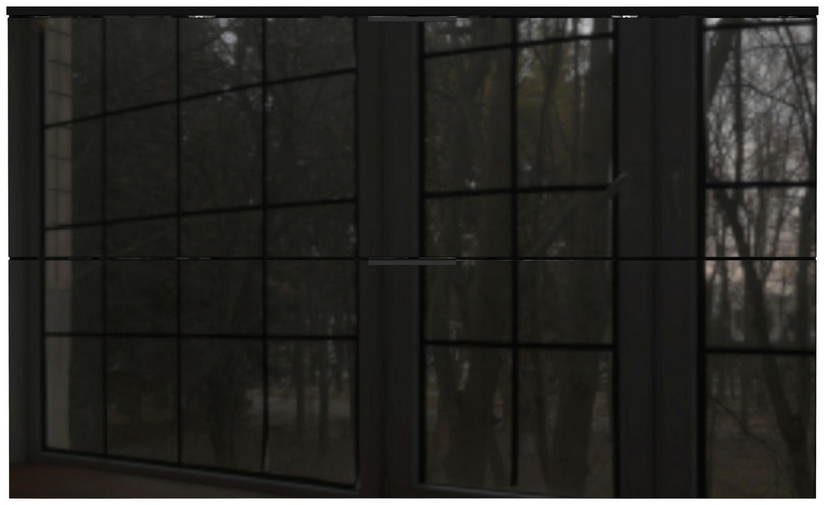 SCHUHSCHRANK Schwarz  - Schwarz, Design, Glas/Holzwerkstoff (140/85/19cm)