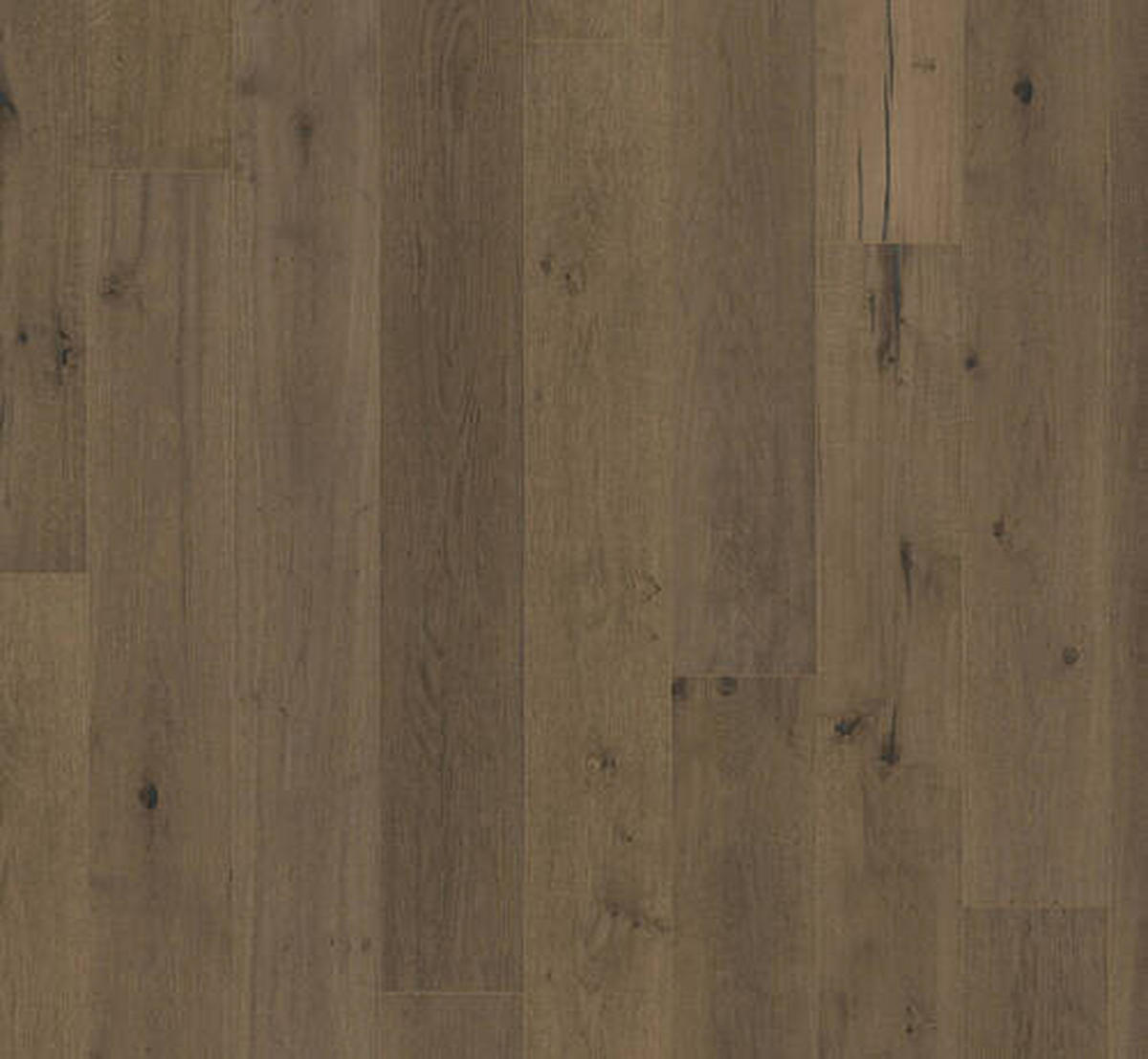 PARKETTBODEN  per  m² - Eichefarben, Basics, Holz (188,2/19/1,4cm) - Parador