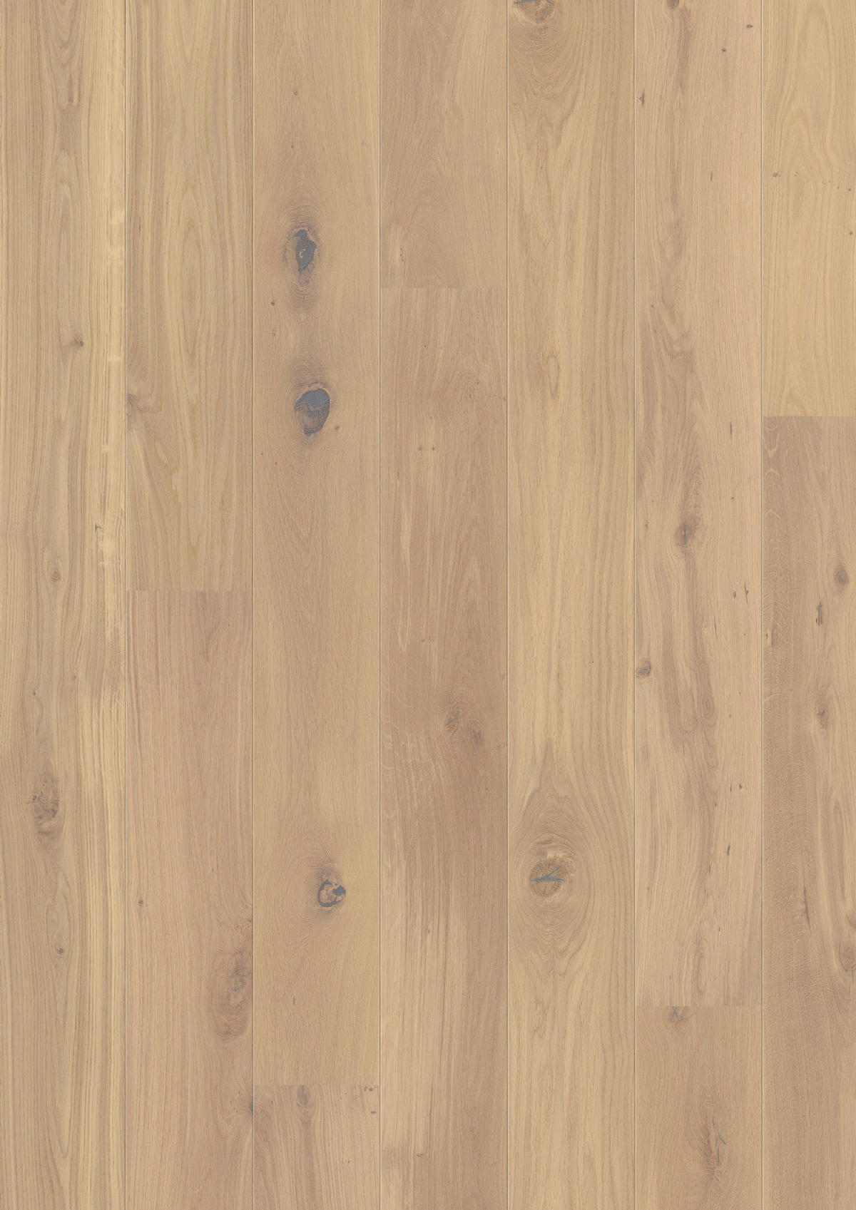 LANDHAUSDIELE Rustico Trend Eiche Weiss 100014801  per  m² - Design, Holz (220,5/17,6/1,3cm) - Tilo