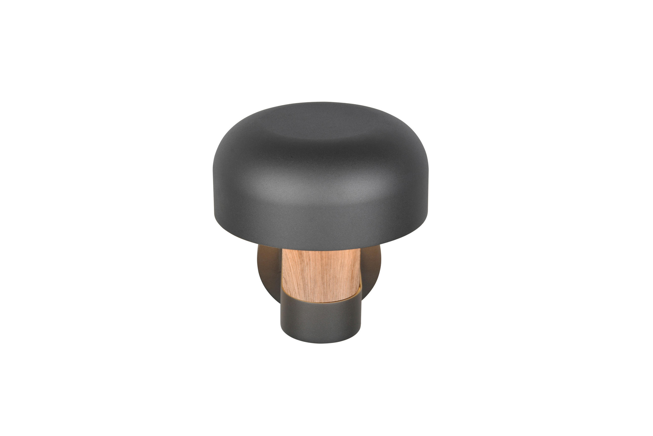 AUSSENWANDLEUCHTE - Anthrazit/Braun, Design, Metall (19/24,5/25cm) - Trio Leuchten