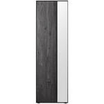GARDEROBENSCHRANK 60/196/39 cm  - Anthrazit/Schwarz, Design, Glas/Holz (60/196/39cm) - Johann Jakob