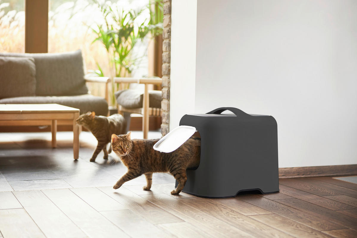 KATZENTOILETTE - Anthrazit, Basics, Kunststoff (51/39,5/44,3cm) - Rotho