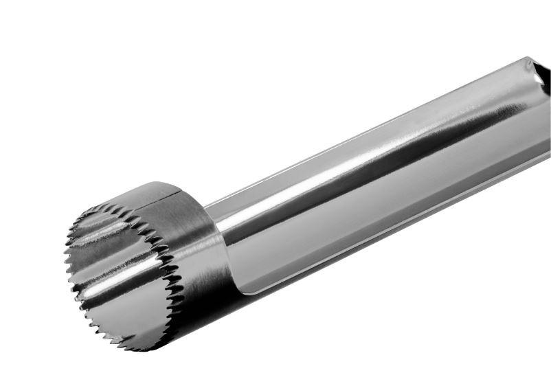 NOŽ ZA JABUKE - boja nerđajućeg čelika, Konvencionalno, metal (24cm) - WMF