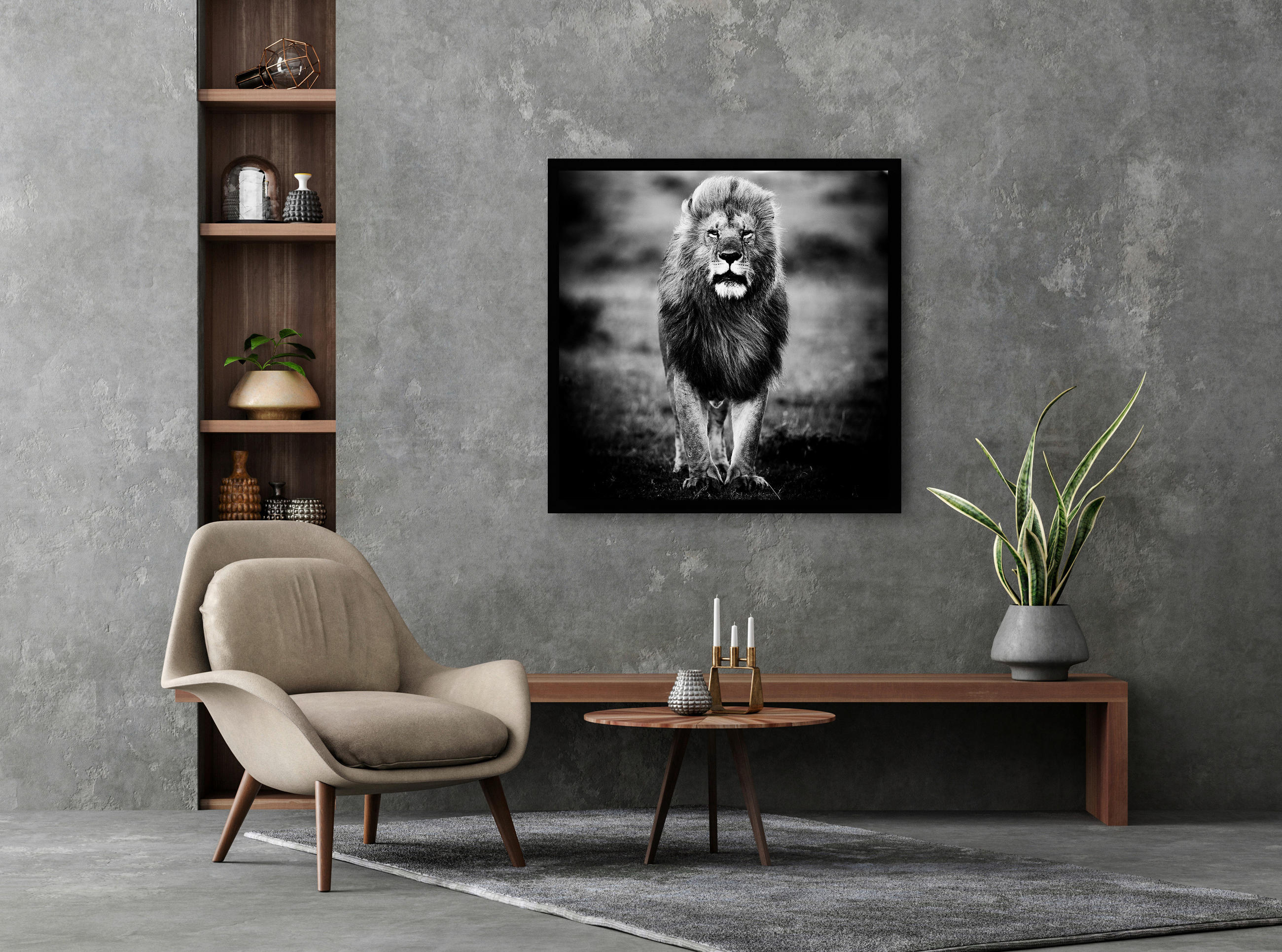 BILD Tiere WANDKRAFT  - Schwarz/Weiß, Design, Holz/Kunststoff (100/100cm)