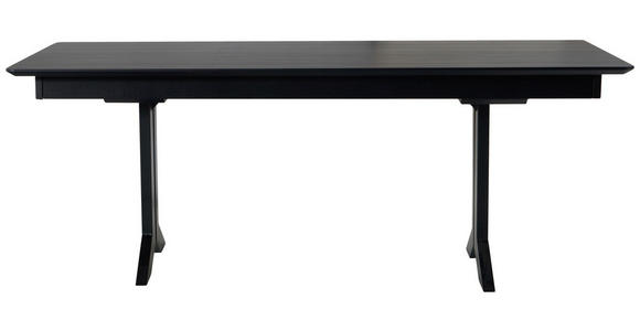 ESSTISCH 200-300/100/76 cm Metall, Kunststoff Schwarz rechteckig  - Schwarz, KONVENTIONELL, Kunststoff/Metall (200-300/100/76cm) - Moderano