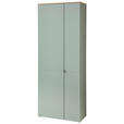 GARDEROBENSCHRANK Bari  in 78/202/38 cm  - Salbeigrün/Silberfarben, Design, Holzwerkstoff/Kunststoff (78/202/38cm) - Xora
