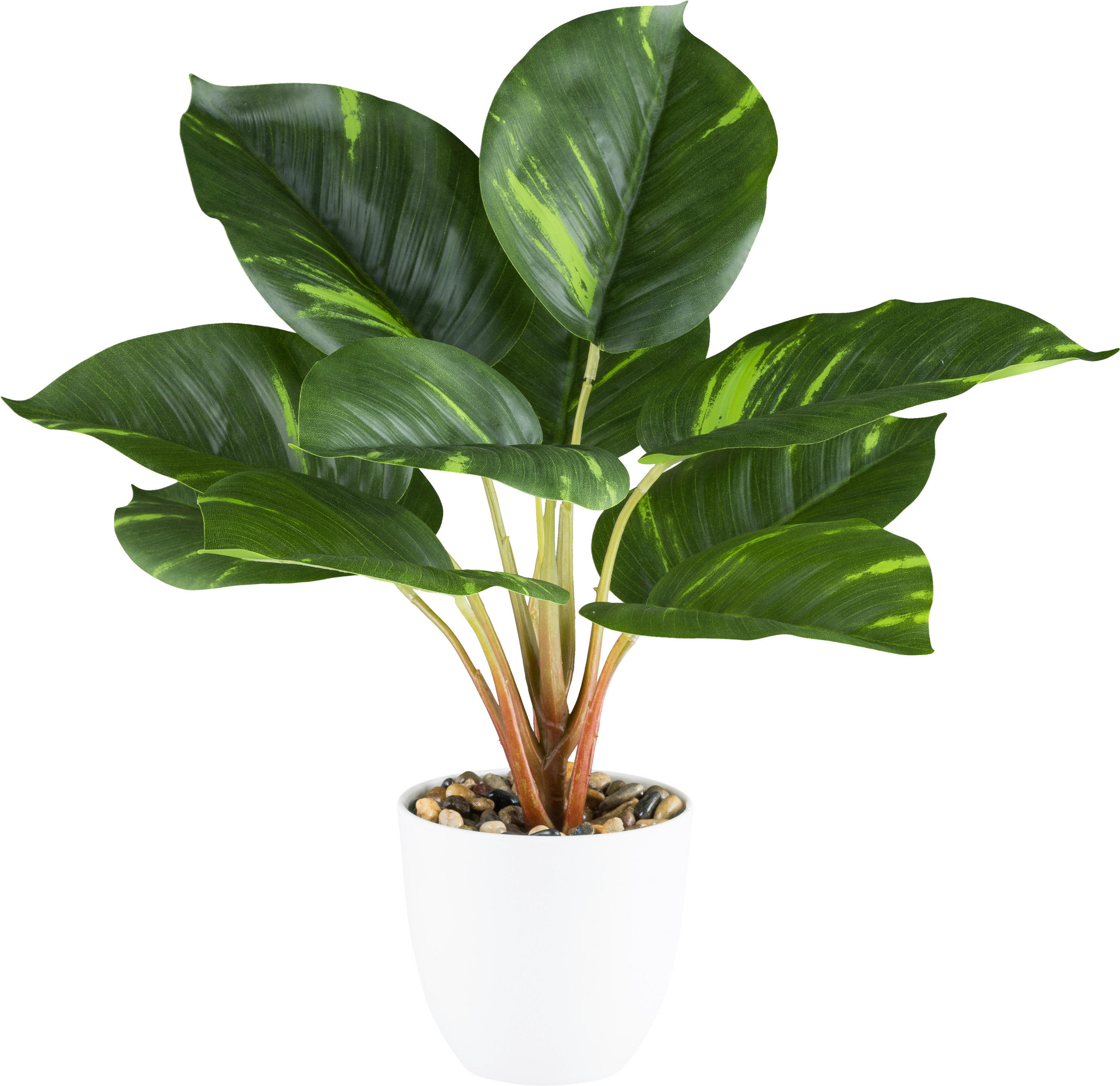 KUNSTPFLANZE 36 cm  - Naturfarben/Weiß, Design, Kunststoff (36cm) - P & B