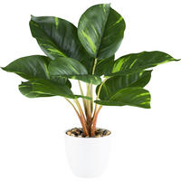 KUNSTPFLANZE 36 cm  - Naturfarben/Weiß, Design, Kunststoff (36cm) - P & B