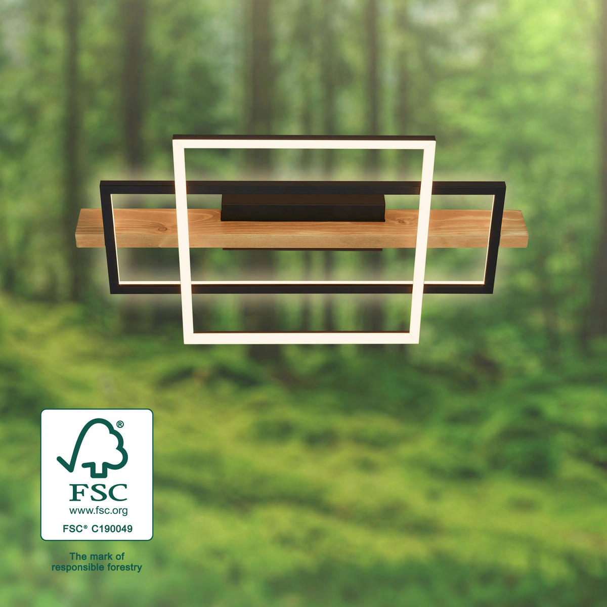 LED-DECKENLEUCHTE 55/30/8 cm   - Eichefarben/Schwarz, Natur, Holz/Metall (55/30/8cm) - Briloner