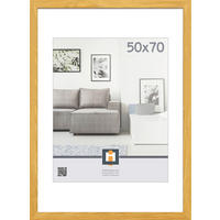 RÁM NA OBRAZY, 1 foto 50 cm x 70 cm - farba duba, Basics, plast/sklo (53/73/1,5cm)