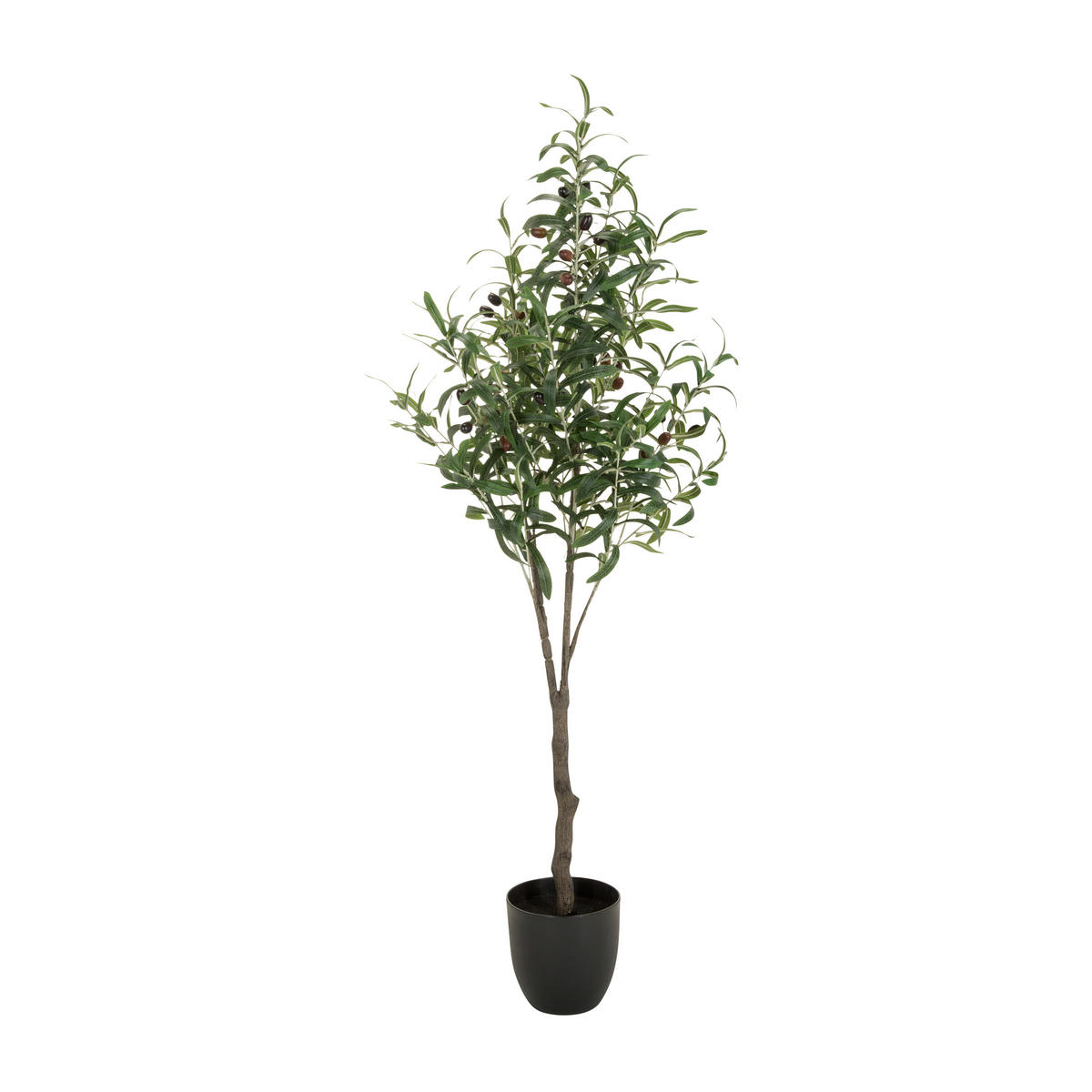 KONSTVÄXT oliv  - grön/brun, Basics, plast (45/120/45cm) - MID.YOU