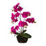 KUNSTBLUME Orchidee - Magenta/Grün, Trend, Kunststoff (60cm) KUNSTBLUME Orchidee - Magenta/Grün, Trend, Kunststoff (60cm)