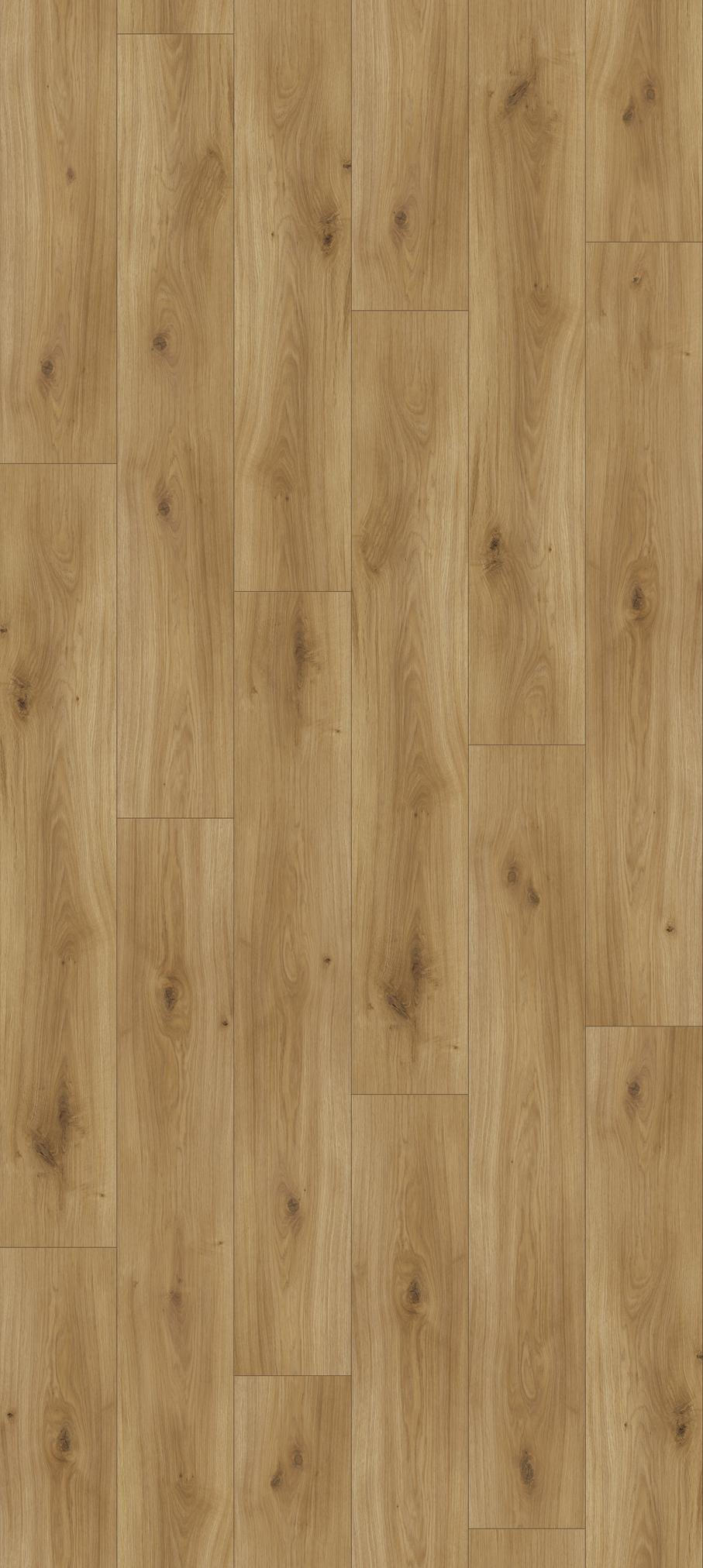Laminatboden Eiche Natur Basic 200 M4V 1594001 per m²