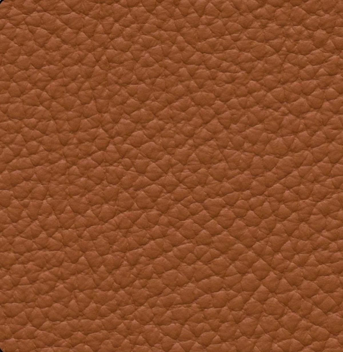 SCHLAFSOFA Cognac Echtleder  - Cognac/Schwarz, Design, Leder/Metall (191/89/97cm) - Novel