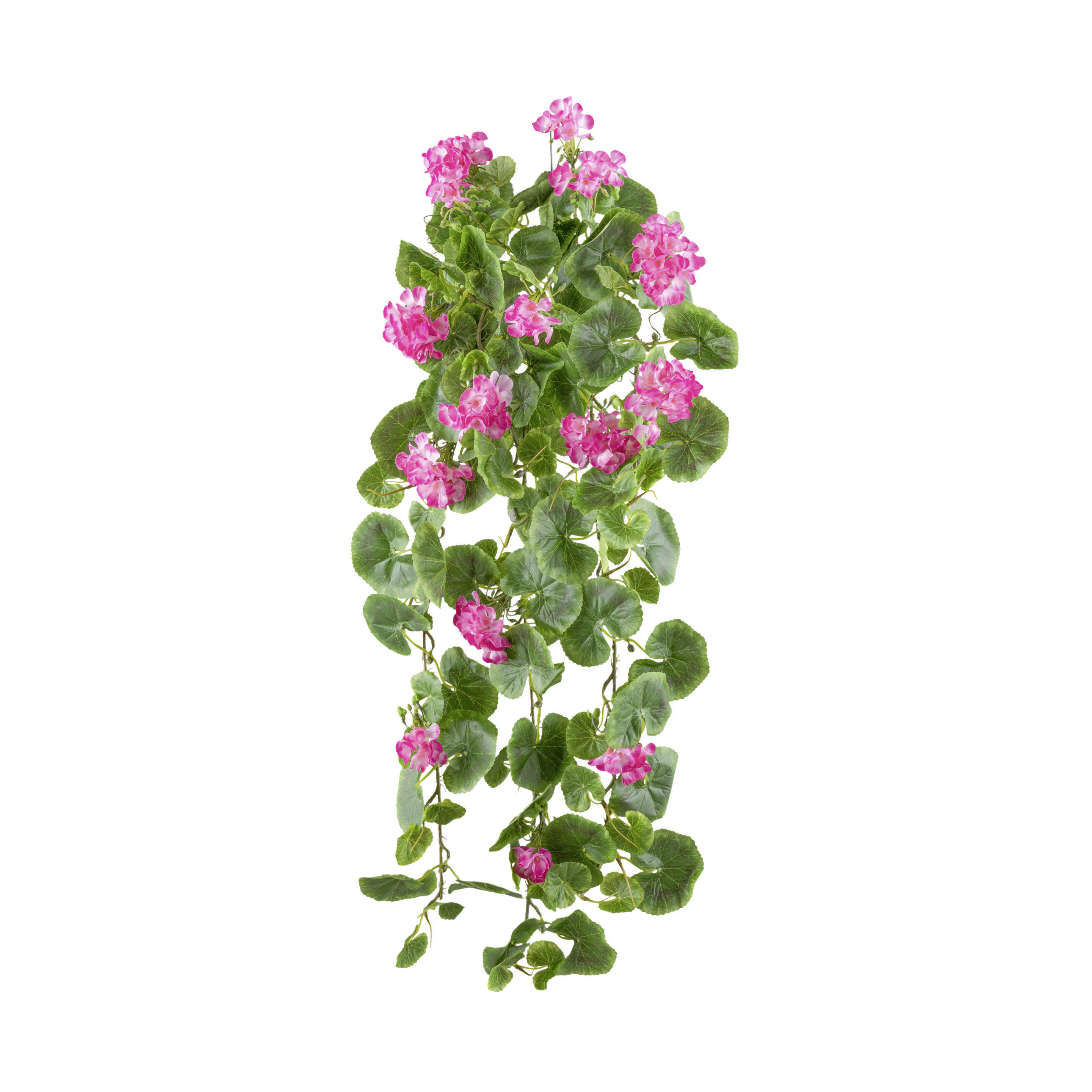 KUNSTPFLANZE Geranie 80 cm  - Pink/Grün, Design, Kunststoff (80cm) - P & B
