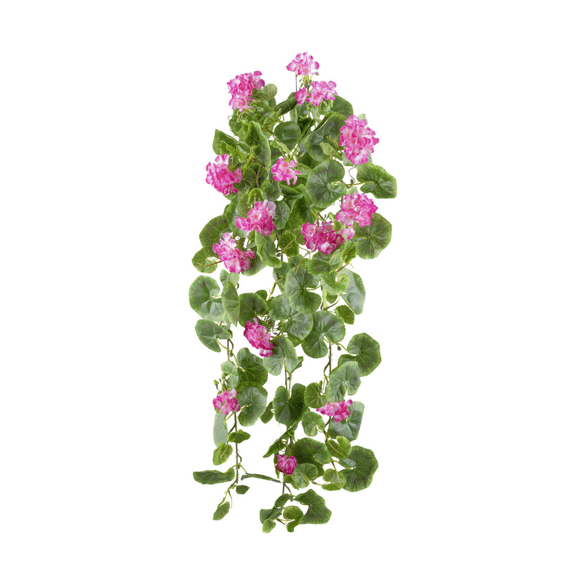 KUNSTPFLANZE Geranie 80 cm  - Pink/Grün, Design, Kunststoff (80cm) - P & B