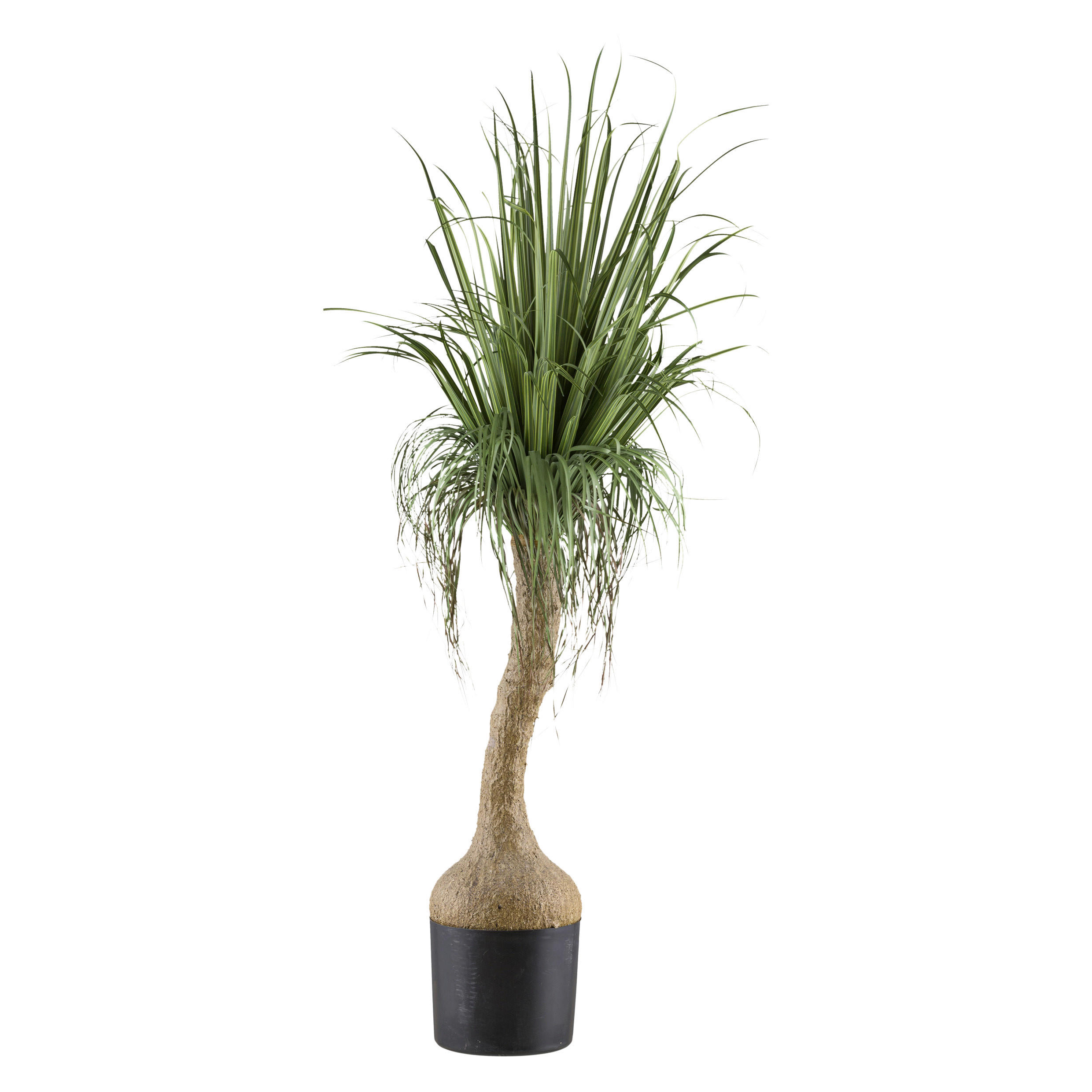 XXXL UMĚLÁ ROSTLINA 150 cm
