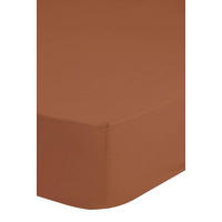 SPANNBETTTUCH Hip Renforcé  - Terracotta, Basics, Textil (180/220cm) - MID.YOU