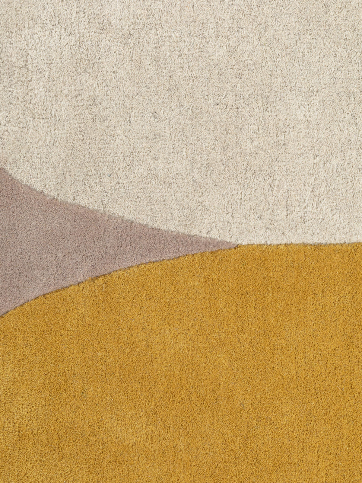 WOLLTEPPICH 200/290 cm Westminster Cecil Multicolor, Beige rechteckig  - Beige/Multicolor, Basics, Textil (200/290cm) - Ted Baker