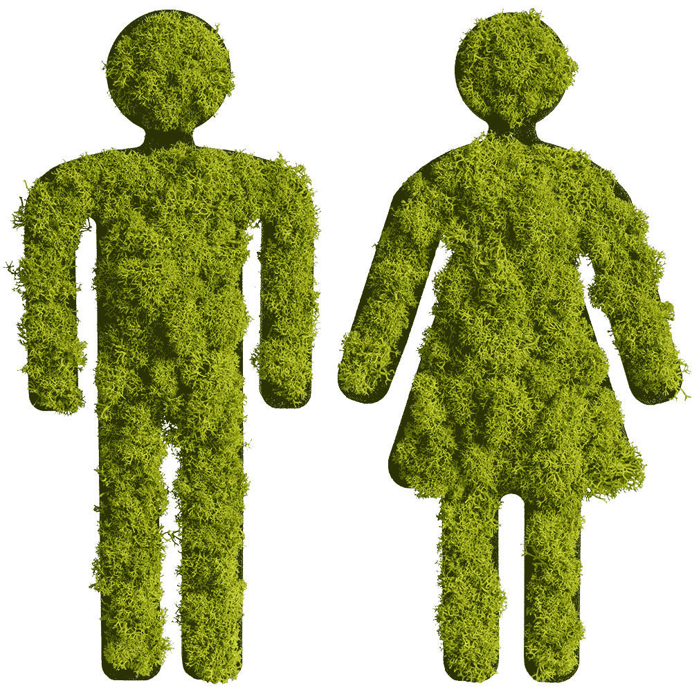 StyleGREEN MECHOVÝ OBRAZ