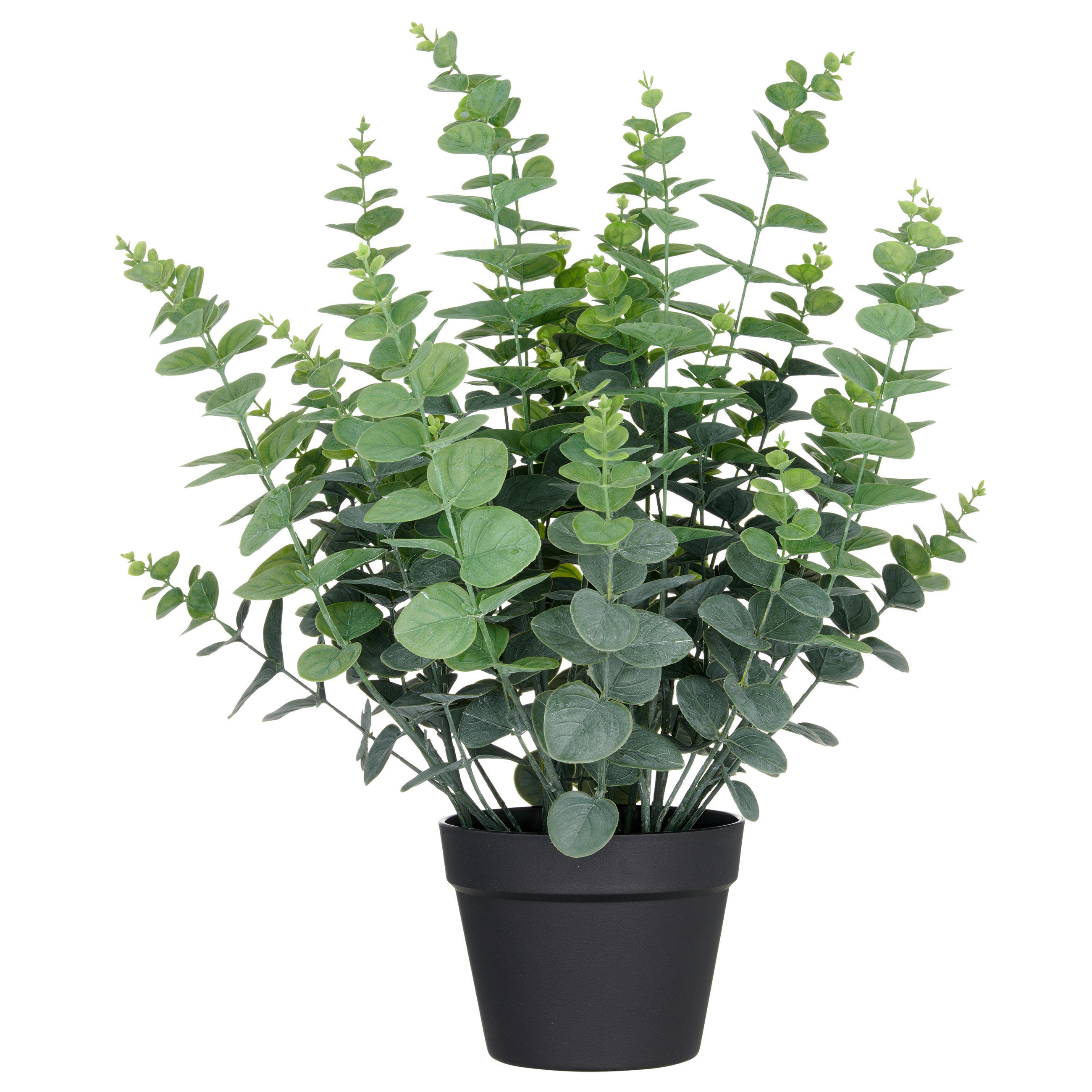 KUNSTPFLANZE Eukalyptus 60 cm  - Schwarz/Grau, Basics, Kunststoff (60cm) - P & B