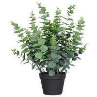 KUNSTPFLANZE Eukalyptus 60 cm  - Schwarz/Grau, Basics, Kunststoff (60cm) - P & B