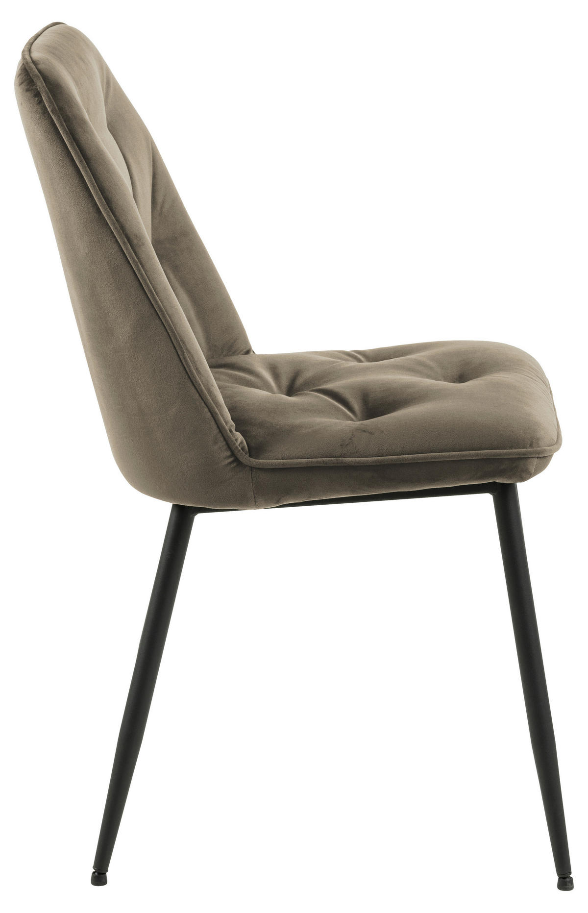 STUHL  in Samt Textil  - Beige/Schwarz, Design, Textil/Metall (50/84/55cm) - MID.YOU