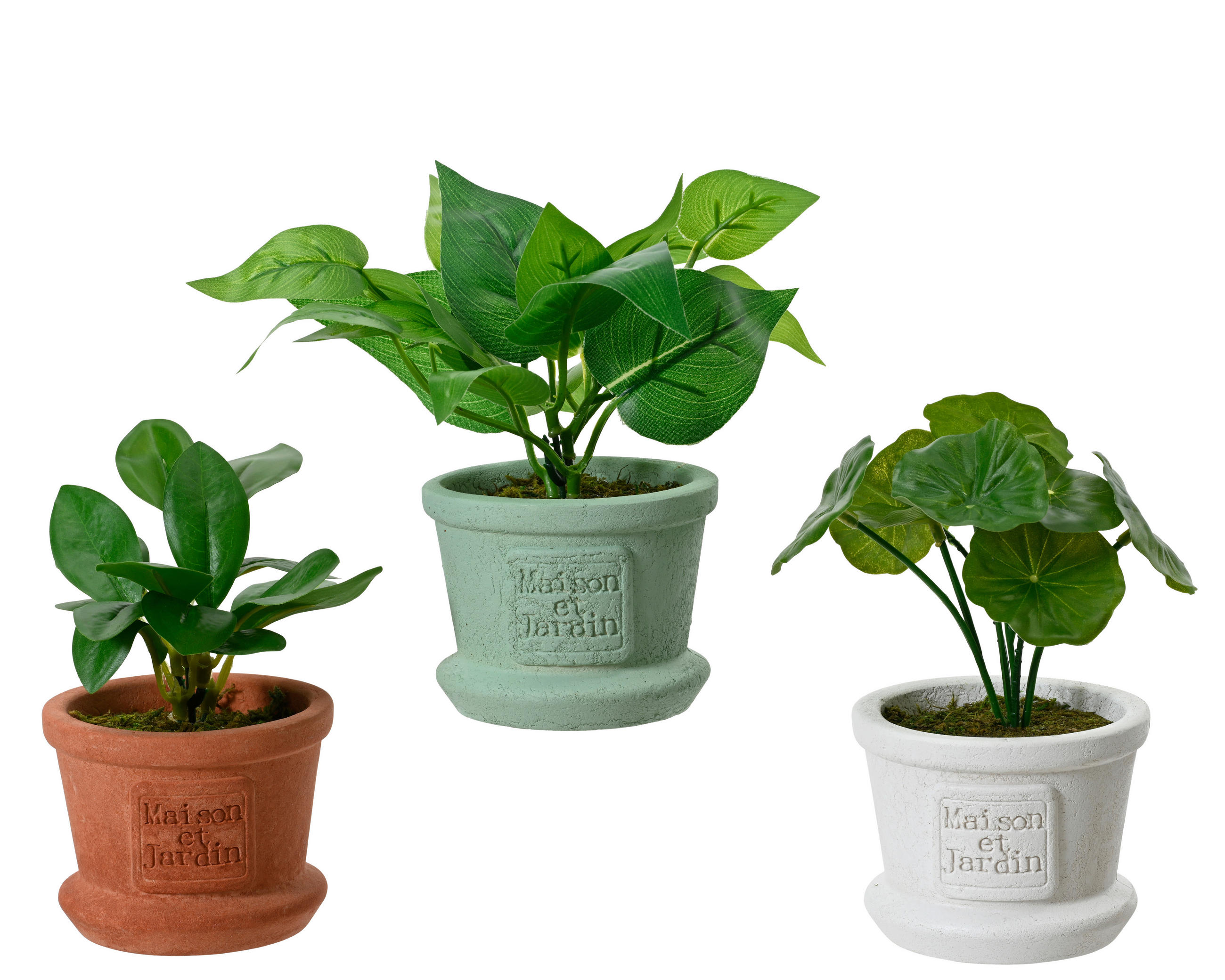 UMETNA RASTLINA - Basics (8,00/8,00/16,00cm)