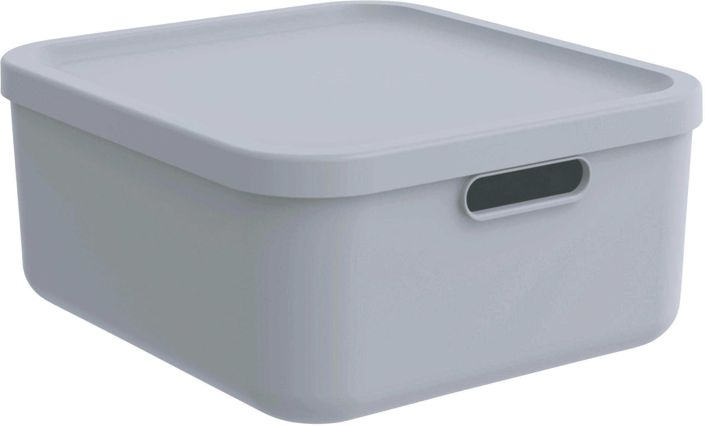 AUFBEWAHRUNGSBOX     - Pastellblau, Basics, Kunststoff (35,5/17,7/39,5cm) - Rotho