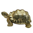 DEKOSCHILDKRÖTE - Goldfarben, LIFESTYLE, Kunststoff (38/25,5/18,5cm) - Ambia Home