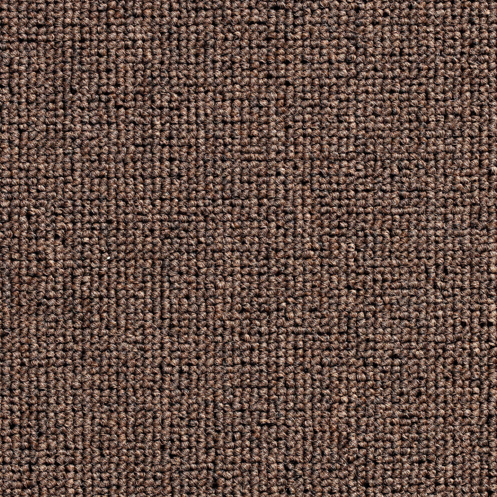 TEPPICHFLIESE - Dunkelbraun, Basics, Textil (50/50cm)