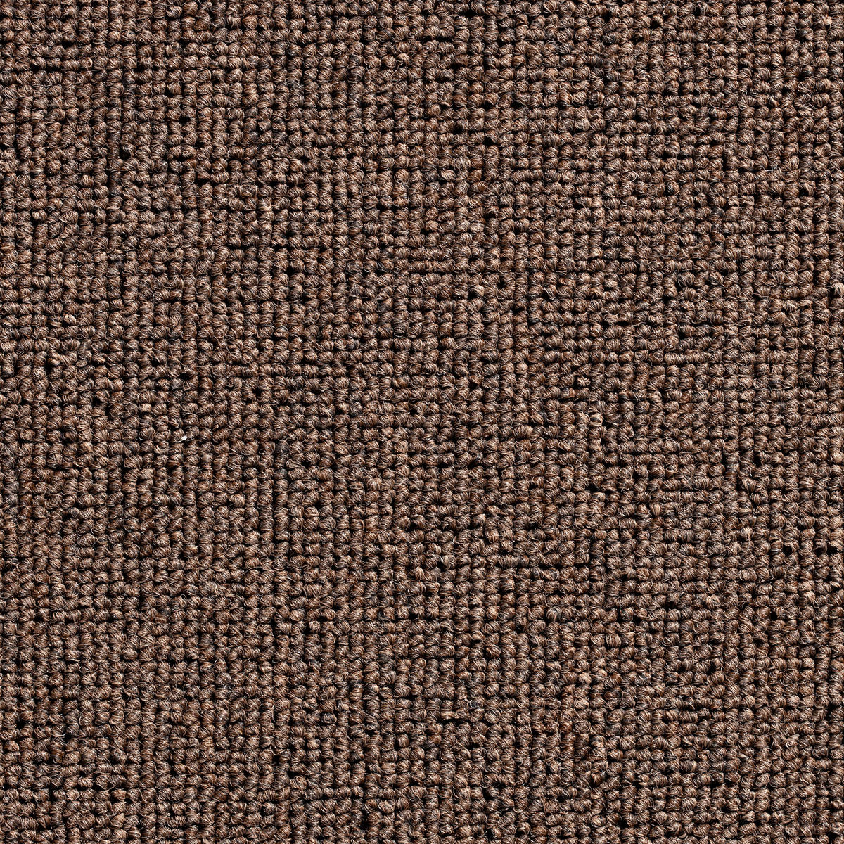 TEPPICHFLIESE - Dunkelbraun, Basics, Textil (50/50cm)