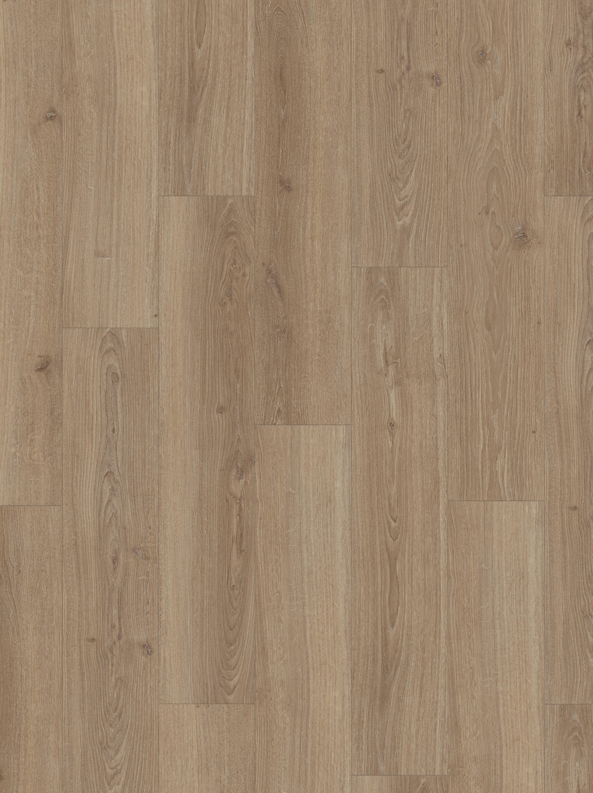 LAMINATBODEN Laminat Basic 600  per  m² - Basics (128,5/24,3/0,8cm) - Parador