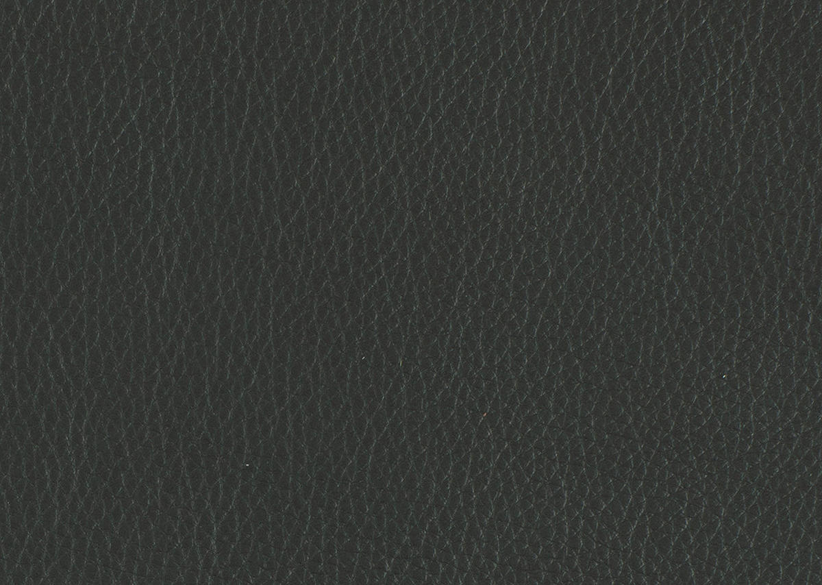 RÉCAMIERE in Echtleder Dunkelgrau  - Chromfarben/Dunkelgrau, Design, Leder/Metall (209/85-109/95-16cm) - Dieter Knoll