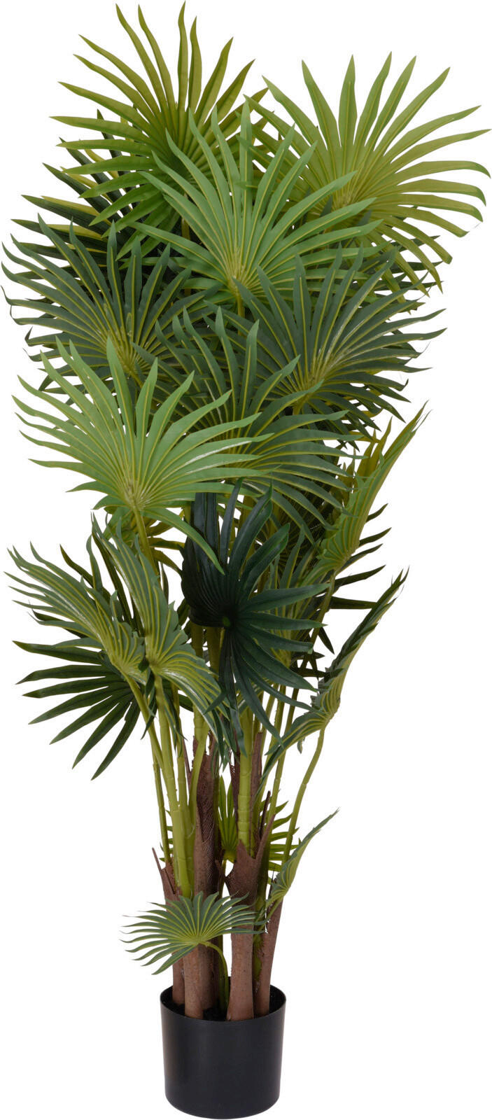 Floare Artificială - Basics, plastic (35/15/125cm)