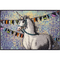 FUßMATTE  50/75 cm  Multicolor  - Multicolor, Trend, Kunststoff/Textil (50/75cm) - wash+dry