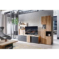 WOHNWAND  in Anthrazit, Eichefarben  306/194/58,3 cm  - Edelstahlfarben/Eichefarben, Design, Glas/Holz (306/194/58,3cm) - Voglauer