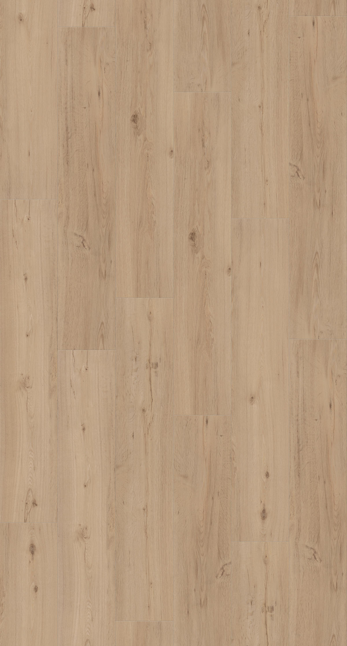 DESIGNBODEN CLASSIC 2030 1442052  per  m² - Hellbraun/Eichefarben, Basics, Holzwerkstoff/Kunststoff (120,7/21,6/0,96cm) - Parador