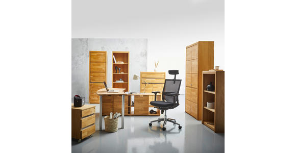 AKTENSCHRANK 95/201/41 cm  - Wildeiche/Edelstahlfarben, KONVENTIONELL, Holz/Holzwerkstoff (95/201/41cm) - Linea Natura