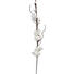 KUNSTBLUME - Braun/Weiß, Basics, Kunststoff/Metall (122cm) - Ambia Home KUNSTBLUME - Braun/Weiß, Basics, Kunststoff/Metall (122cm) - Ambia Home