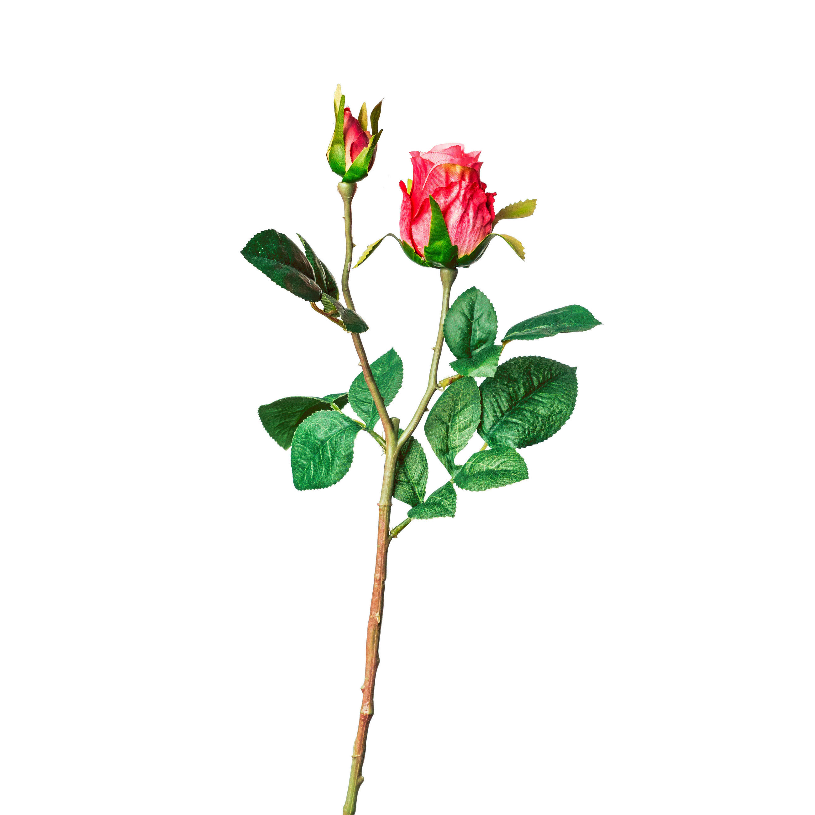 ROSE Rose  - Rosa/Grün, Basics, Kunststoff (45cm)