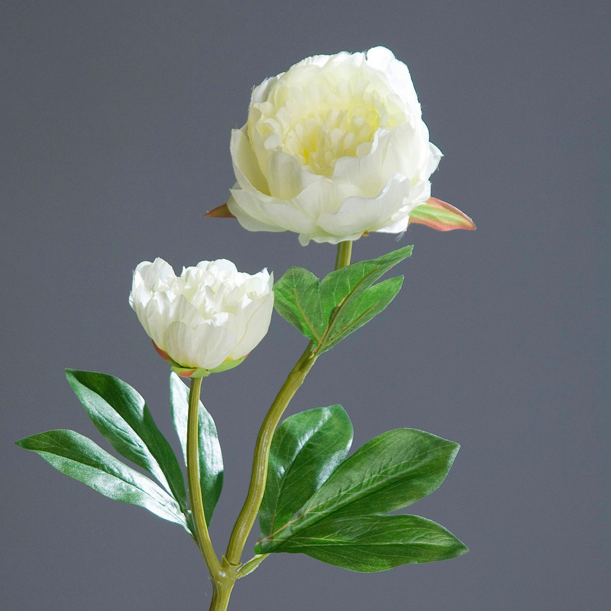KUNSTBLUME - Creme/Grün, Basics, Kunststoff/Textil (60cm)