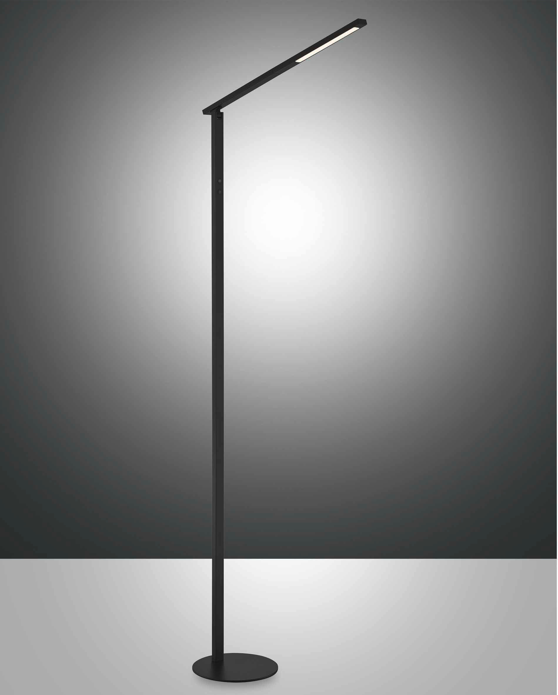 LED-STEHLEUCHTE 51/175 cm - Schwarz, Design, Metall (51/175cm) - Fabas Luce