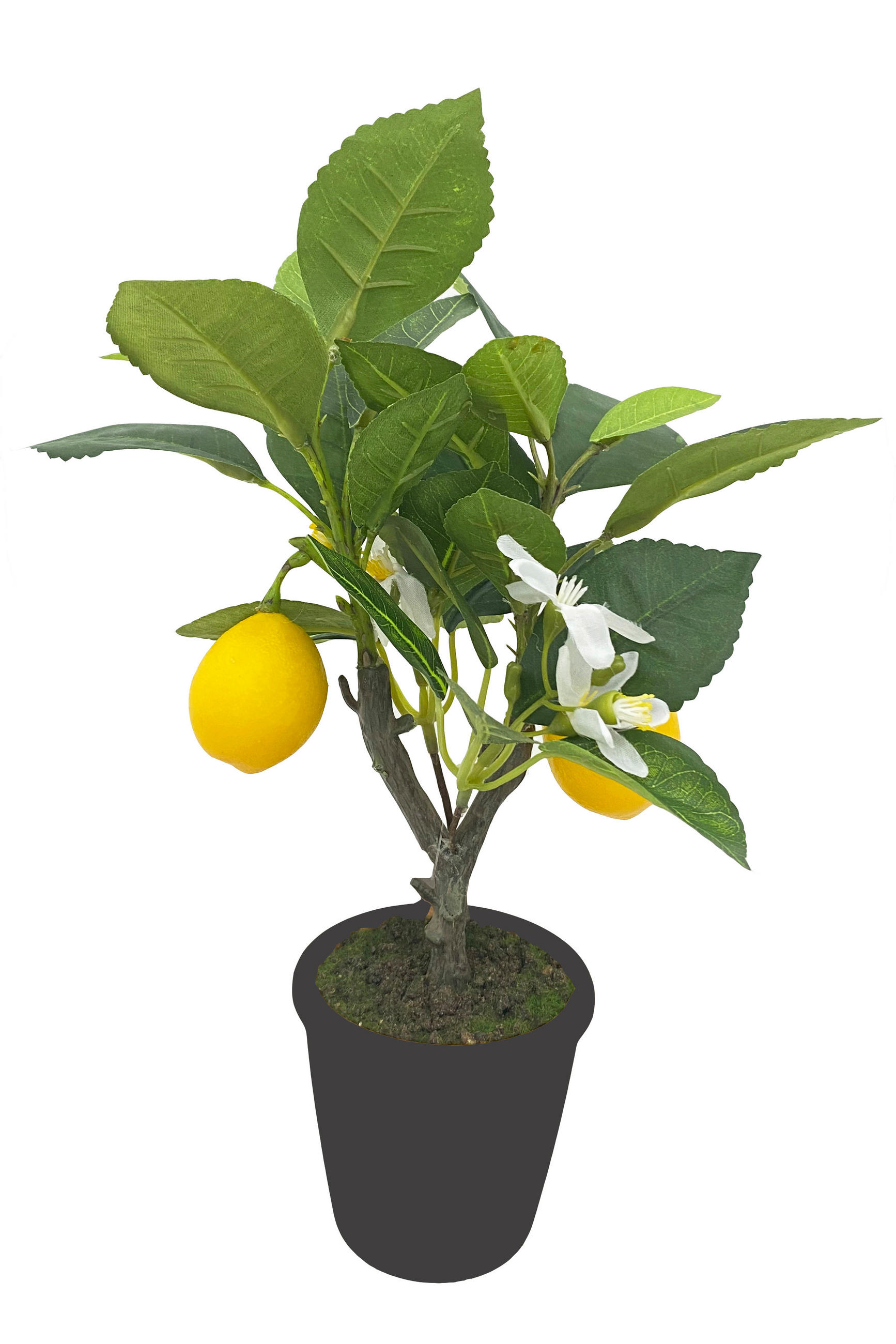 KUNSTPFLANZE 31 cm  - Gelb/Schwarz, Basics, Kunststoff/Textil (31cm) - Ambia Home