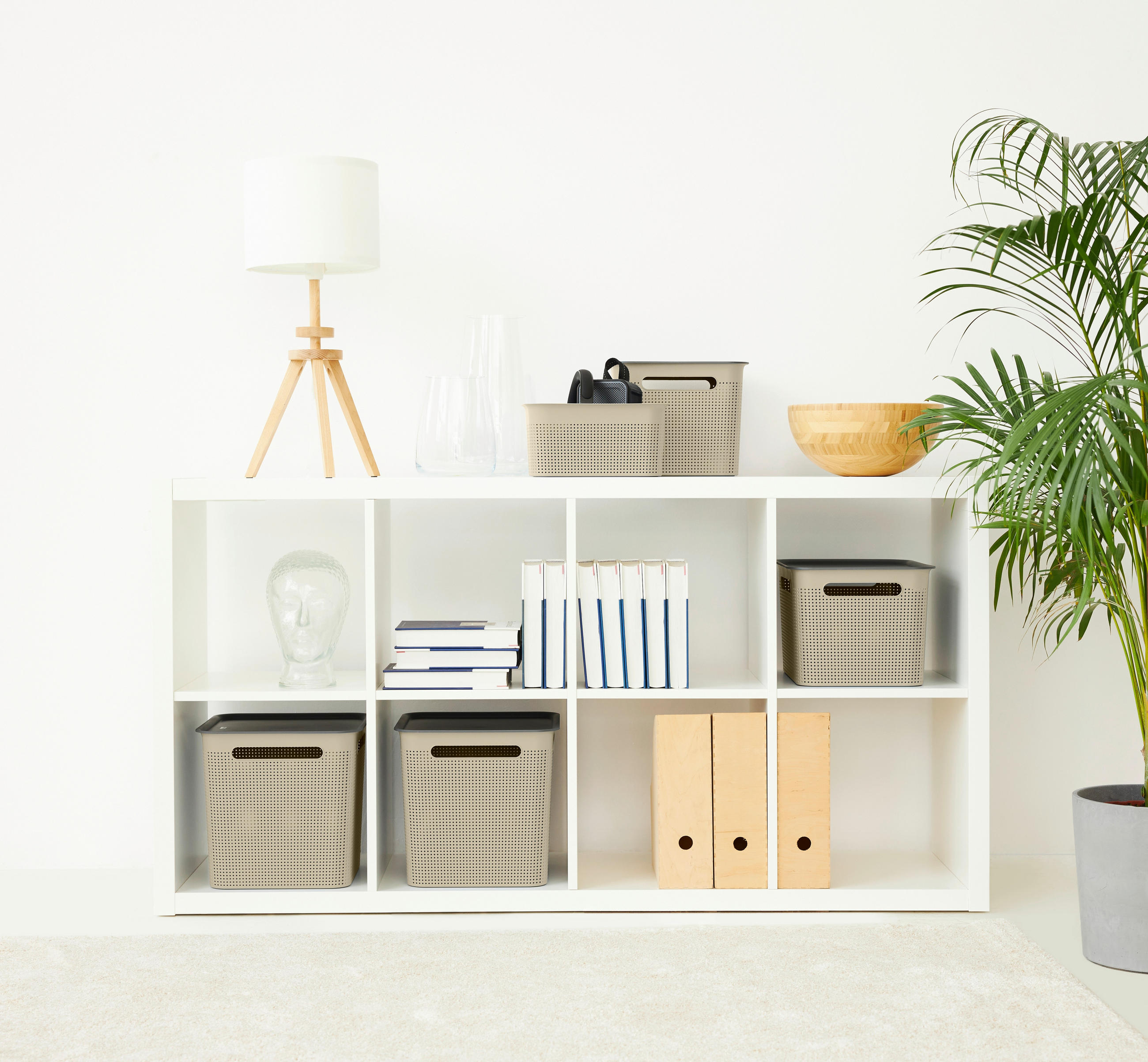 BOX, plast - cappuccino, Basics, plast (26,2/18/13cm) - Rotho