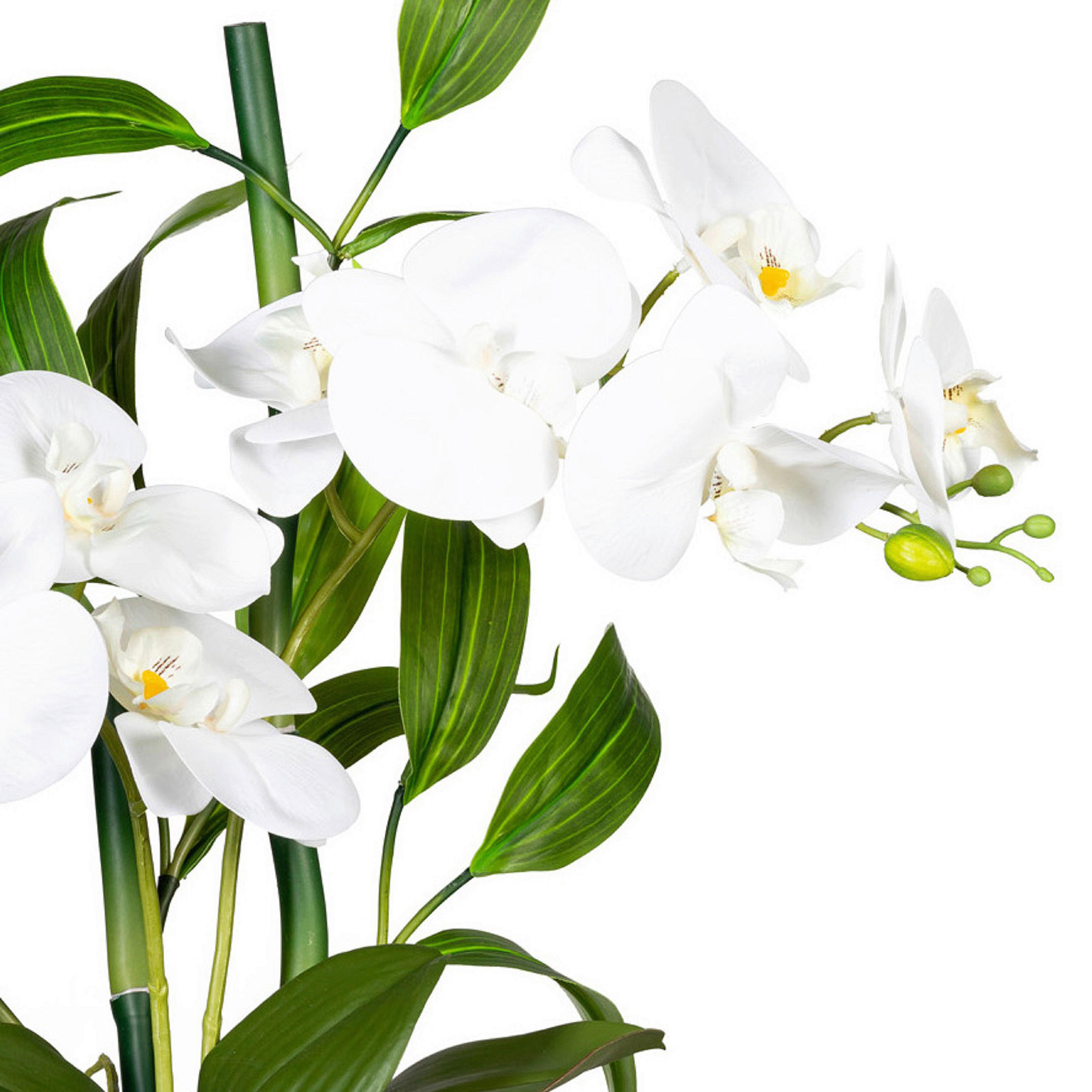 KUNSTPFLANZE Orchidee 60 cm  - Braun/Weiß, Design, Kunststoff/Stein (60cm) - P & B